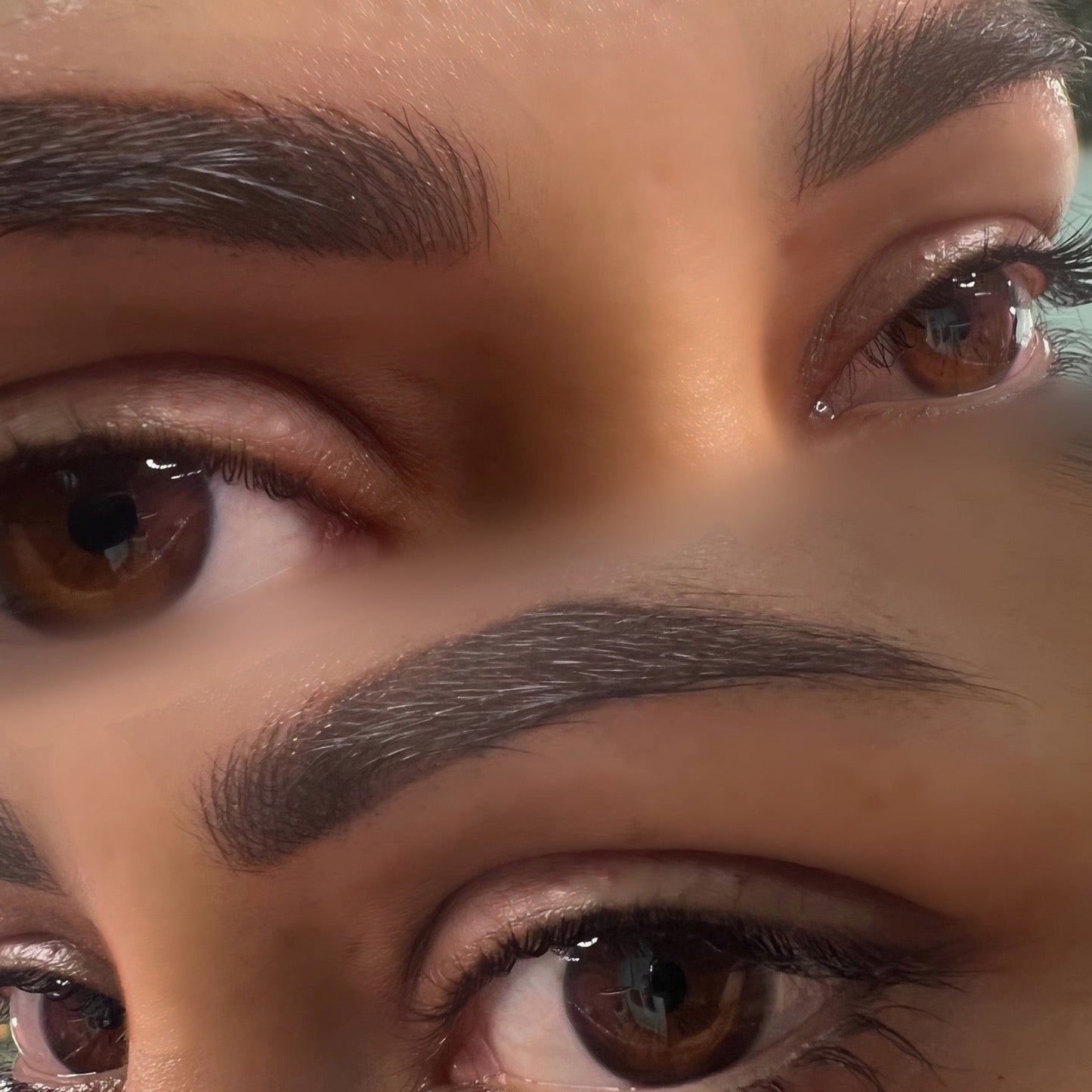 Everlasting Brows - Feather Touch Aesthetics